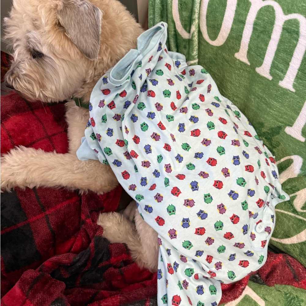 Charming Pet Owl PJs or Onzie